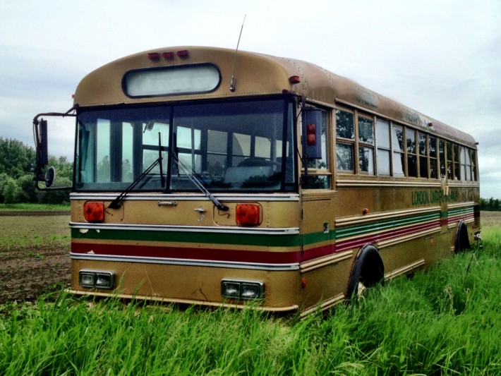 Golden-Bus-in-a-field